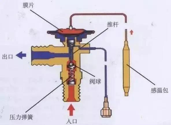 图片20.png